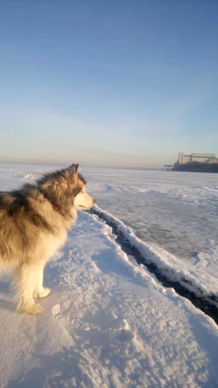 ��� �� ������������, ��� ������ � �� �����)