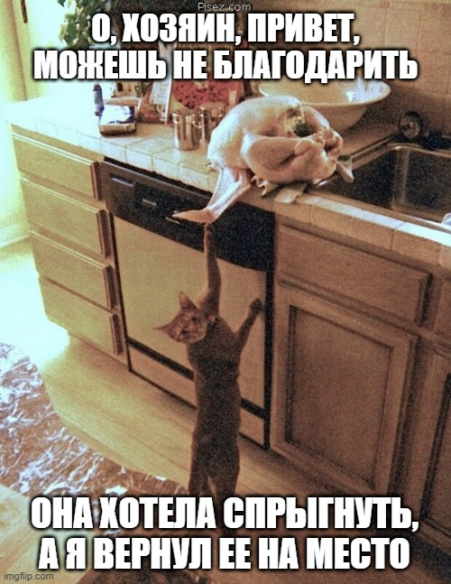 Я все могу объяснить!