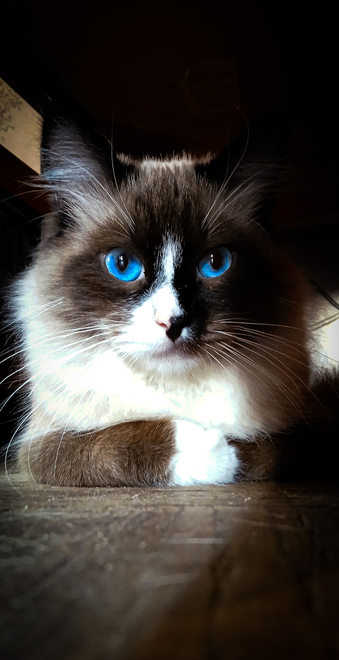 ���� ���������