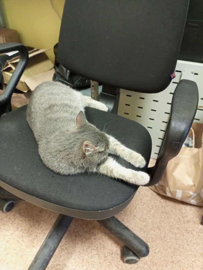 - 6   ,   , , ,  , ,  