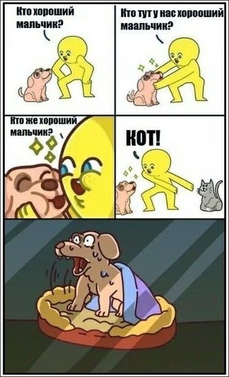 Что сниться собакам