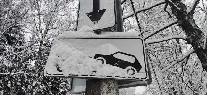 ����� ����. �������� �� �������