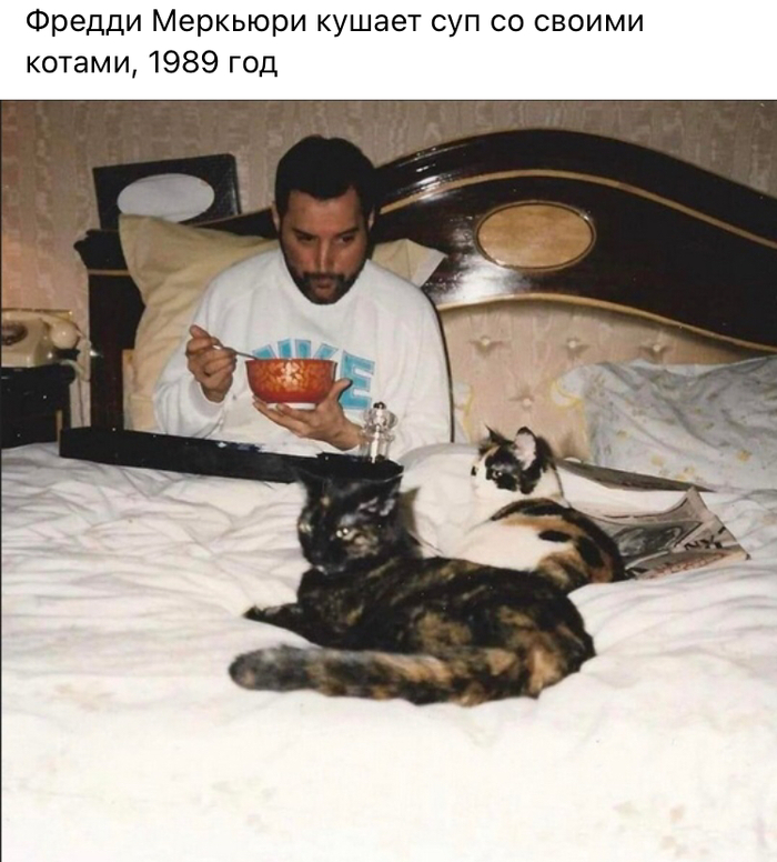 show must go on что это значит. Смотреть фото show must go on что это значит. Смотреть картинку show must go on что это значит. Картинка про show must go on что это значит. Фото show must go on что это значит