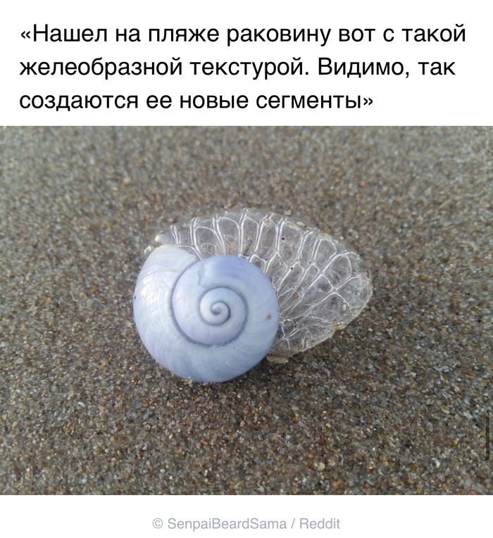 канал адми что если. Смотреть фото канал адми что если. Смотреть картинку канал адми что если. Картинка про канал адми что если. Фото канал адми что если
