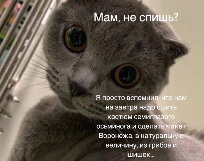 Что это за фотка смешная. Смотреть фото Что это за фотка смешная. Смотреть картинку Что это за фотка смешная. Картинка про Что это за фотка смешная. Фото Что это за фотка смешная