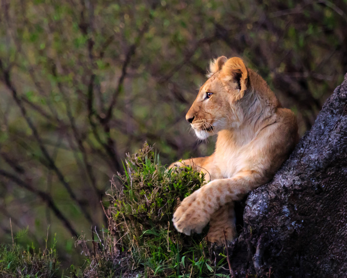 �������, ������������ � ����� ������� � �������� ������ ������