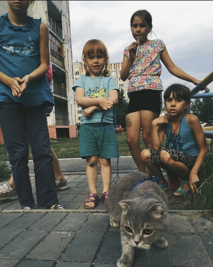   , , , 