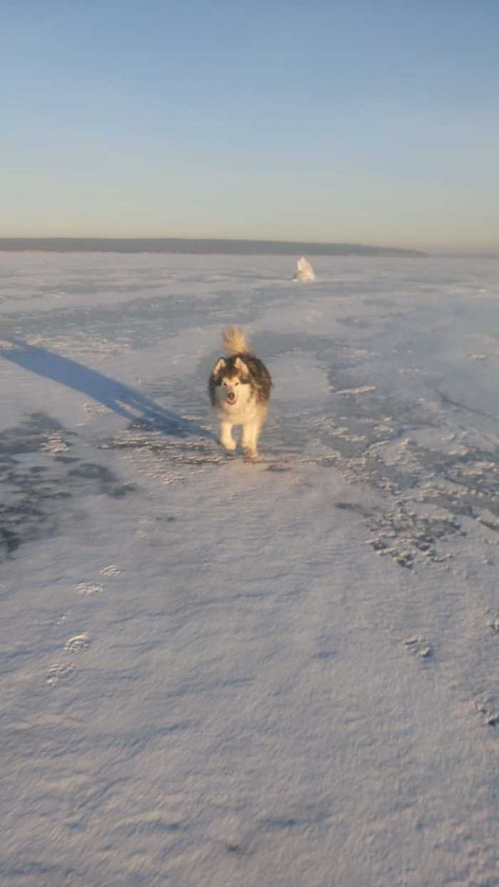 �� ���������� � ����� ������� ������?