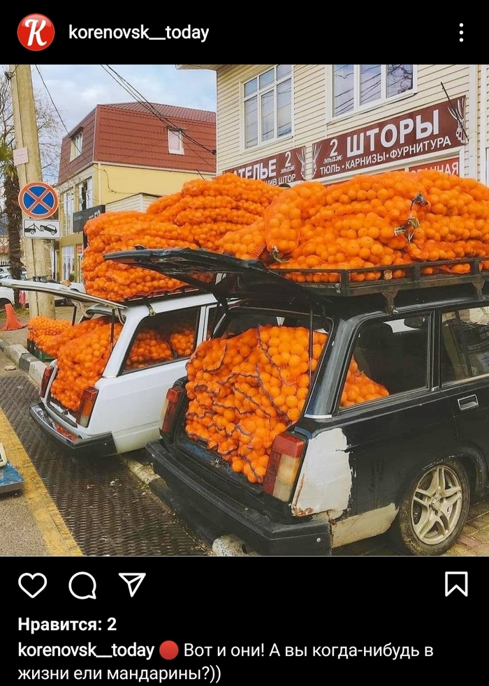 �������� ����������