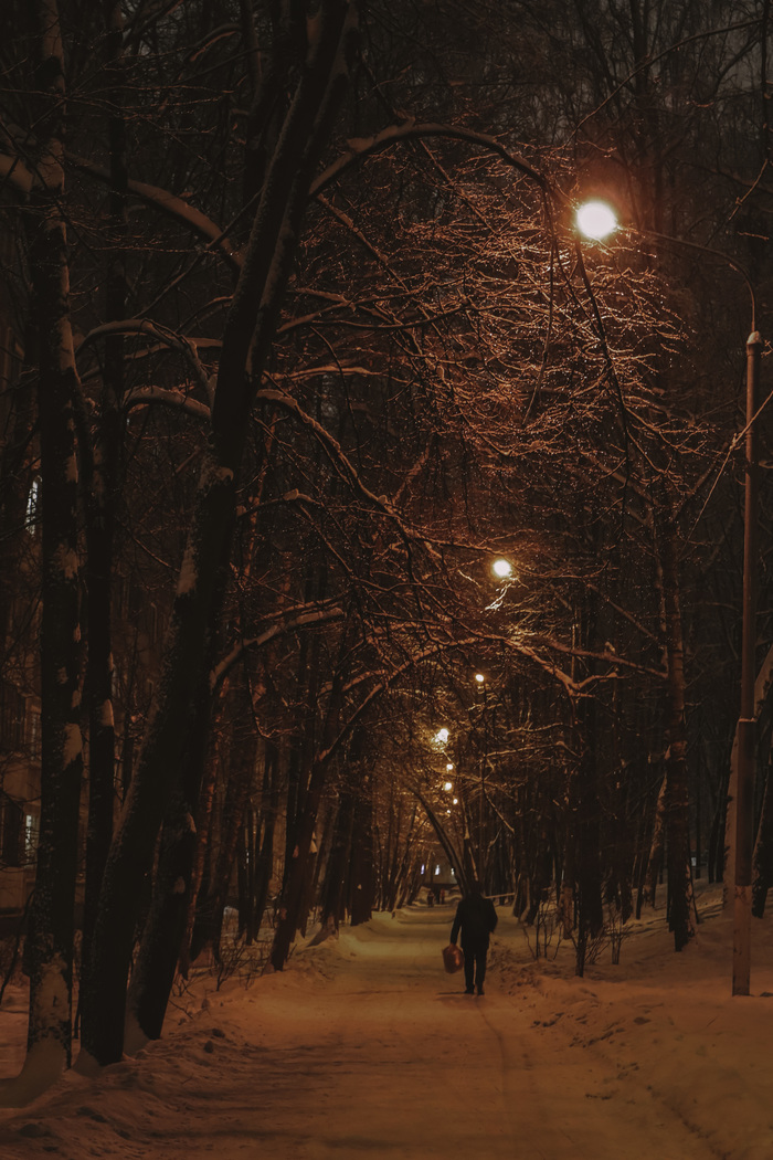 ����� ����