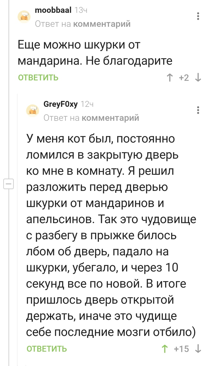 Много мандаринов: истории из жизни, советы, новости, юмор и картинки — Все  посты, страница 60 | Пикабу