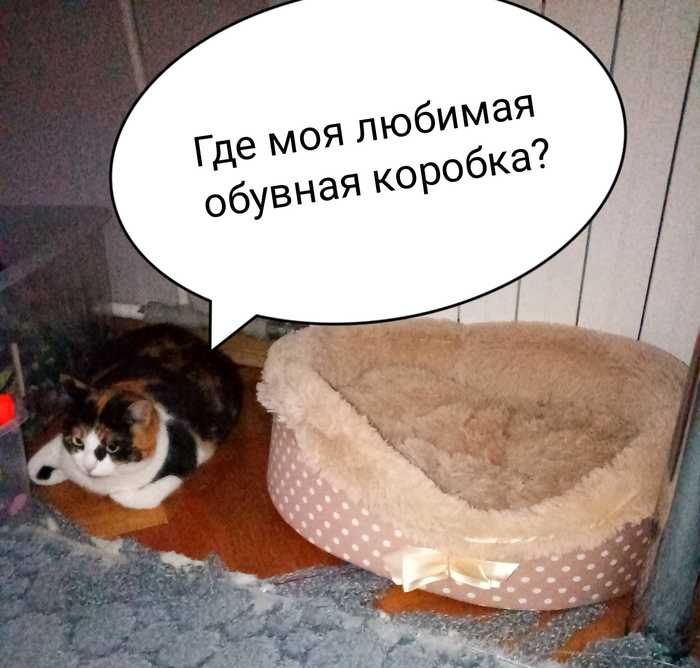 ����� ������� ������ ������ �������