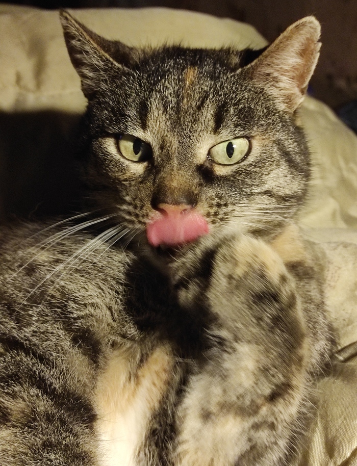    ,     ,  ,  