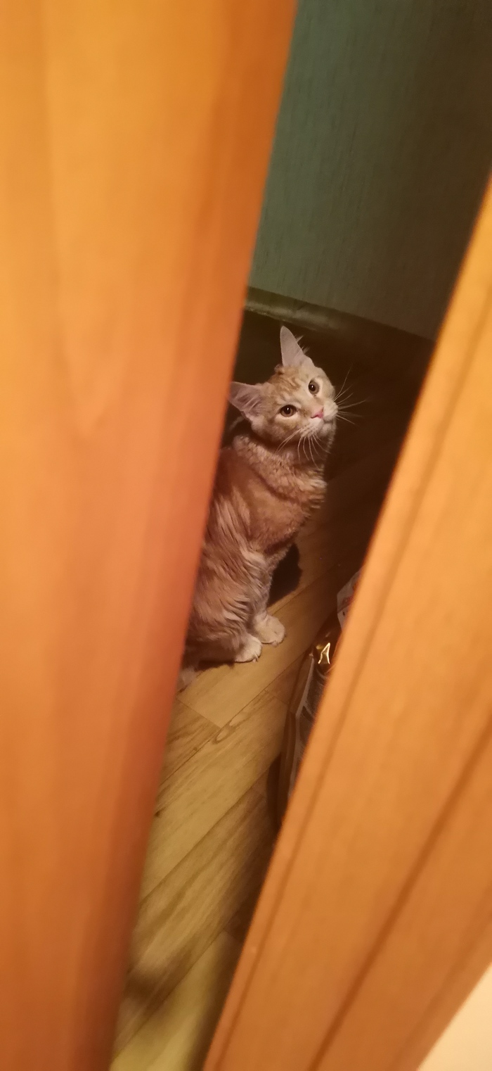 �� �� ����� ���?