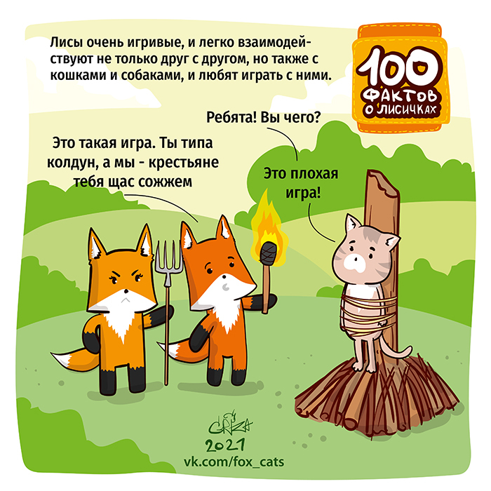 Чего не умеют лисы. Смотреть фото Чего не умеют лисы. Смотреть картинку Чего не умеют лисы. Картинка про Чего не умеют лисы. Фото Чего не умеют лисы