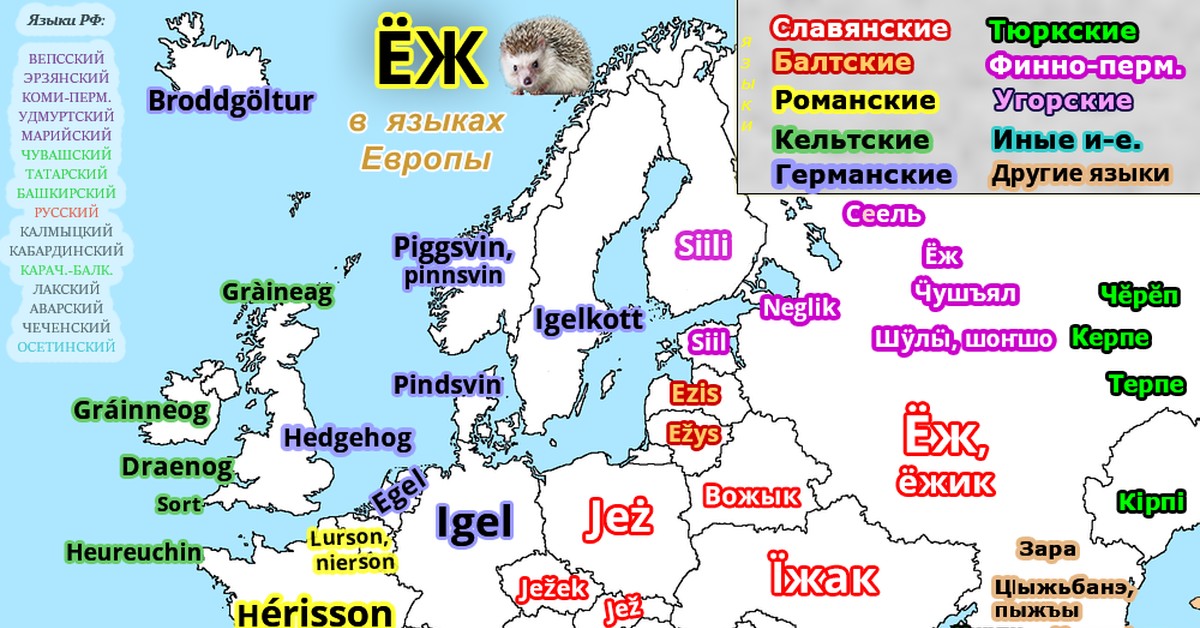 Слова европейских языков