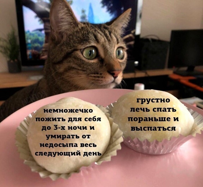 Провокационные вопросы что это