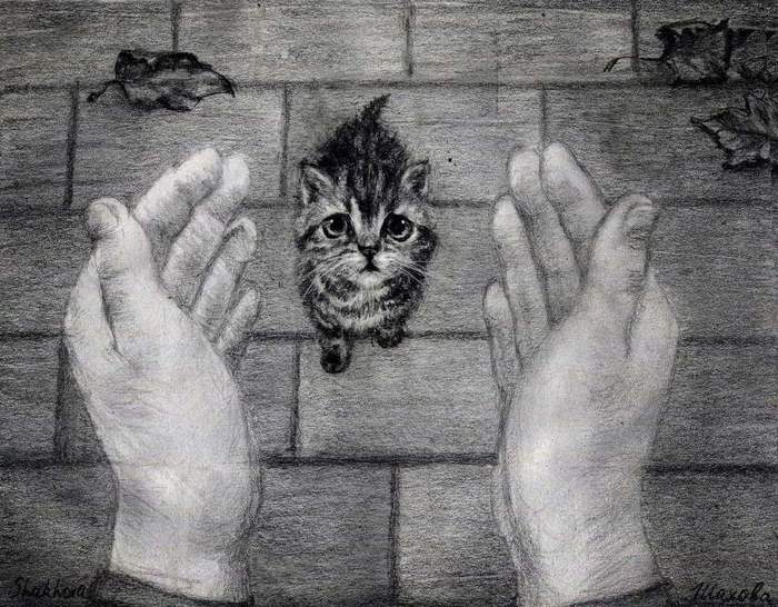 ������ ����