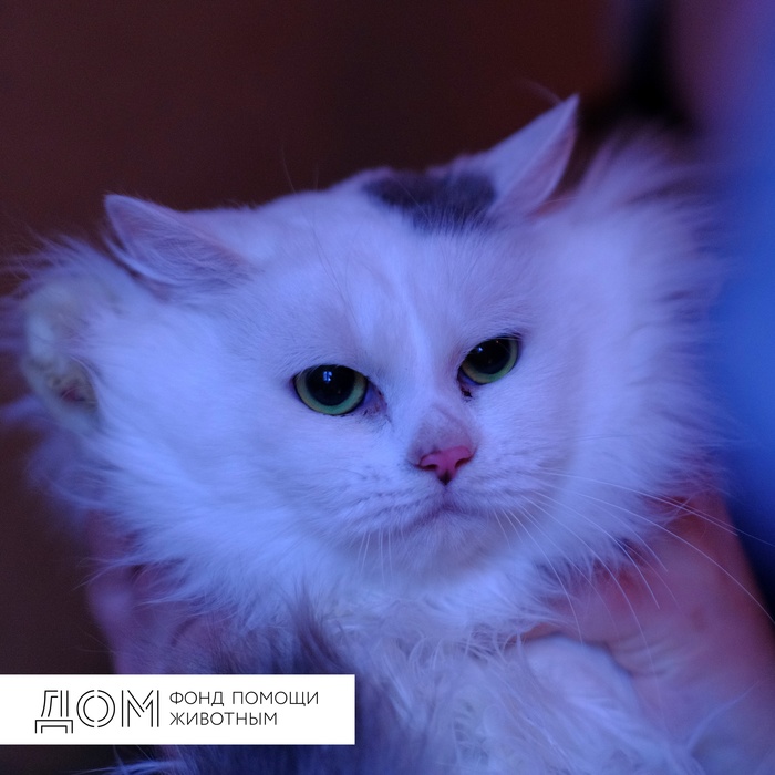 Лехин вестник что это. Смотреть фото Лехин вестник что это. Смотреть картинку Лехин вестник что это. Картинка про Лехин вестник что это. Фото Лехин вестник что это