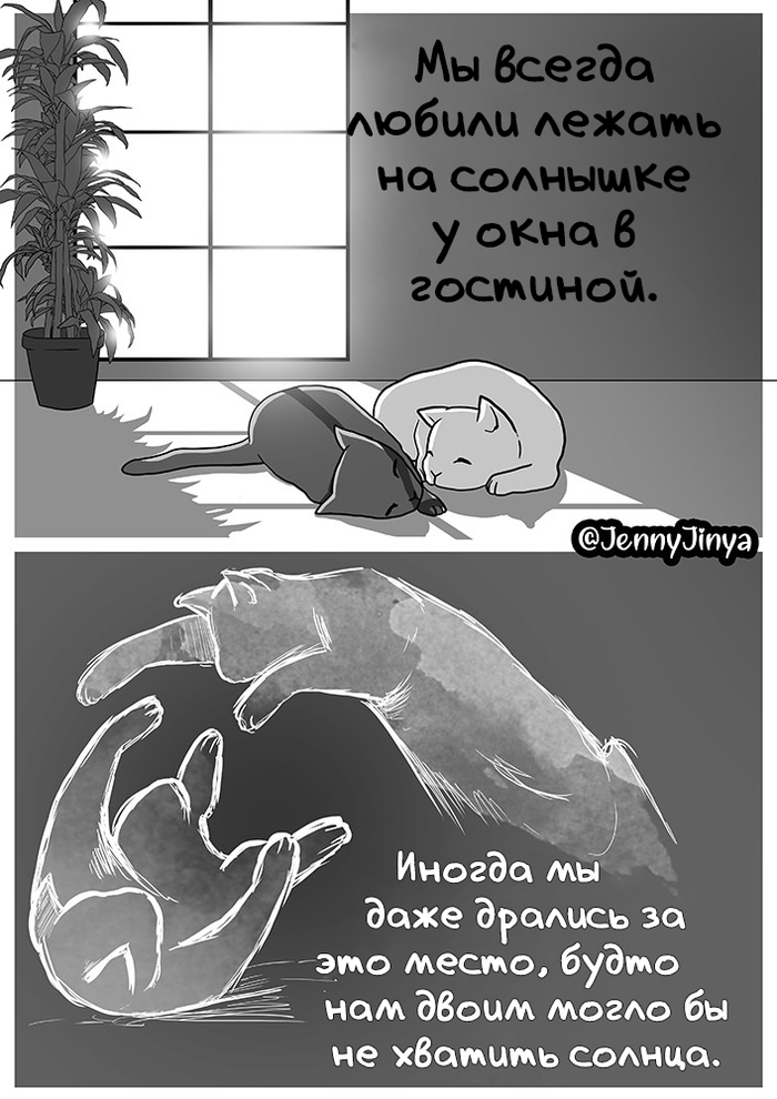 Как умирает человек паук. Смотреть фото Как умирает человек паук. Смотреть картинку Как умирает человек паук. Картинка про Как умирает человек паук. Фото Как умирает человек паук