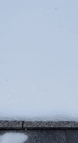 Гифки что было дальше. Смотреть фото Гифки что было дальше. Смотреть картинку Гифки что было дальше. Картинка про Гифки что было дальше. Фото Гифки что было дальше