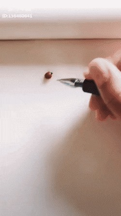 Гифки что было дальше. Смотреть фото Гифки что было дальше. Смотреть картинку Гифки что было дальше. Картинка про Гифки что было дальше. Фото Гифки что было дальше
