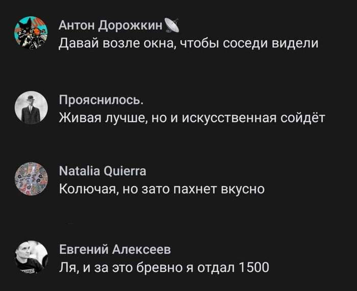 Что можно сказать во время секса и наряжая ёлку