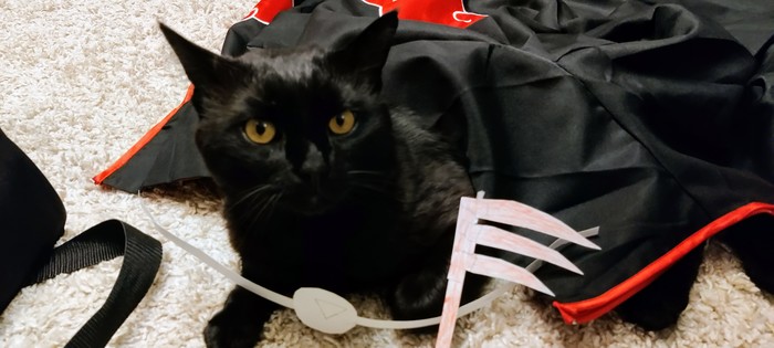 Что можно нарисовать на шопере легко. Смотреть фото Что можно нарисовать на шопере легко. Смотреть картинку Что можно нарисовать на шопере легко. Картинка про Что можно нарисовать на шопере легко. Фото Что можно нарисовать на шопере легко