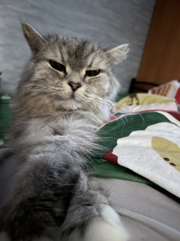 ��� ����� �����?