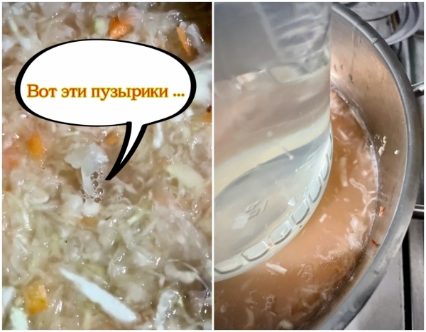 кациус семечки что это. Смотреть фото кациус семечки что это. Смотреть картинку кациус семечки что это. Картинка про кациус семечки что это. Фото кациус семечки что это
