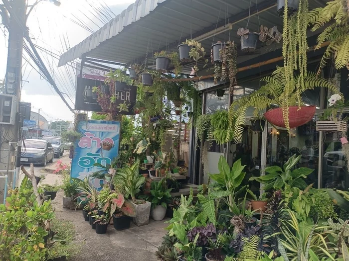 Таиланд нетуристический: Лампанг Таиланд, Путешествия, Записки иммигранта, Длиннопост Таиланд нетуристический: Лампанг Таиланд, Путешествия, Записки иммигранта, Длиннопост