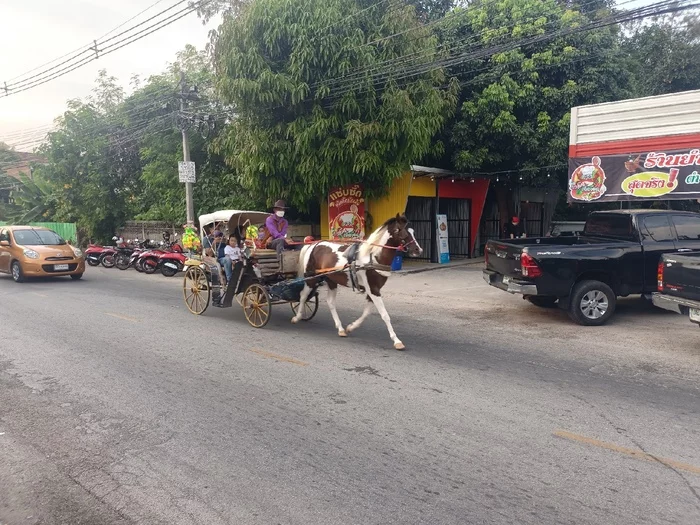 Таиланд нетуристический: Лампанг Таиланд, Путешествия, Записки иммигранта, Длиннопост Таиланд нетуристический: Лампанг Таиланд, Путешествия, Записки иммигранта, Длиннопост
