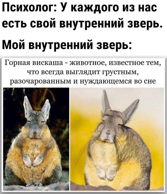 Что станет больше если перевернуть вверх ногами. Смотреть фото Что станет больше если перевернуть вверх ногами. Смотреть картинку Что станет больше если перевернуть вверх ногами. Картинка про Что станет больше если перевернуть вверх ногами. Фото Что станет больше если перевернуть вверх ногами