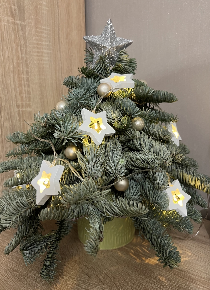 ������ �� ��������