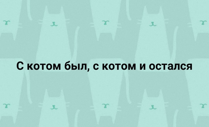 что делать если соседка кошатница. Смотреть фото что делать если соседка кошатница. Смотреть картинку что делать если соседка кошатница. Картинка про что делать если соседка кошатница. Фото что делать если соседка кошатница