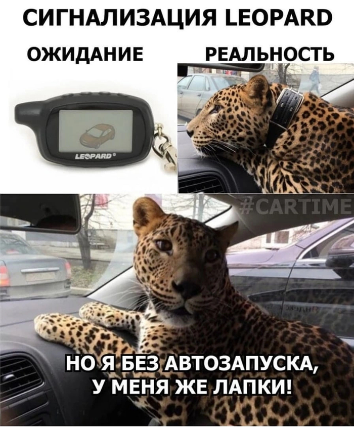 Как усилить антенну сигнализации. Смотреть фото Как усилить антенну сигнализации. Смотреть картинку Как усилить антенну сигнализации. Картинка про Как усилить антенну сигнализации. Фото Как усилить антенну сигнализации
