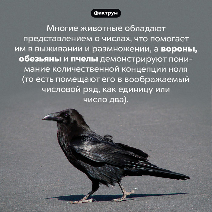 ельцин пальцы что случилось. 164008447219498007. ельцин пальцы что случилось фото. ельцин пальцы что случилось-164008447219498007. картинка ельцин пальцы что случилось. картинка 164008447219498007.