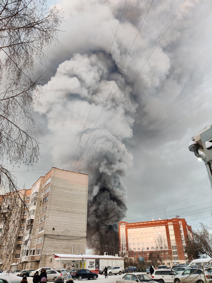 ������� "�����"