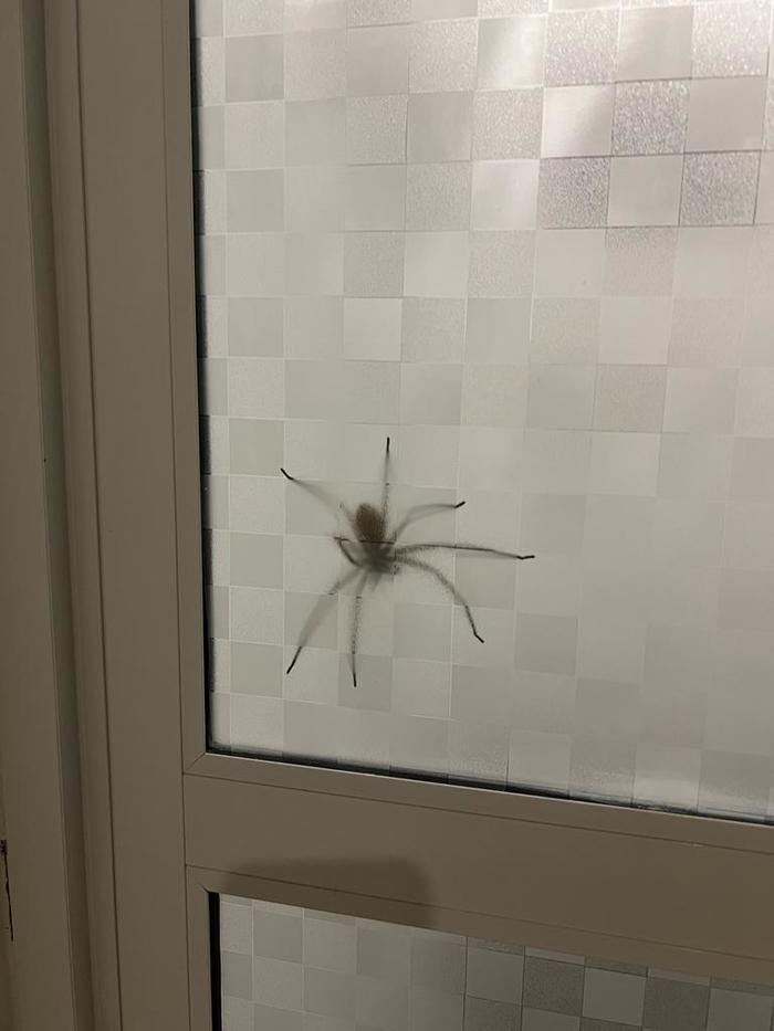 Засада не удалась