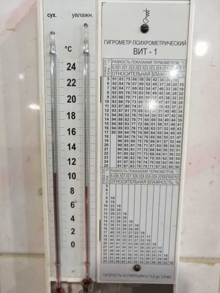 "������" ������������