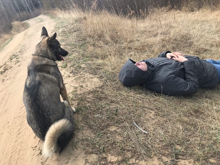 Что в голове у кошек головоломка. 1640174817137463064. Что в голове у кошек головоломка фото. Что в голове у кошек головоломка-1640174817137463064. картинка Что в голове у кошек головоломка. картинка 1640174817137463064.