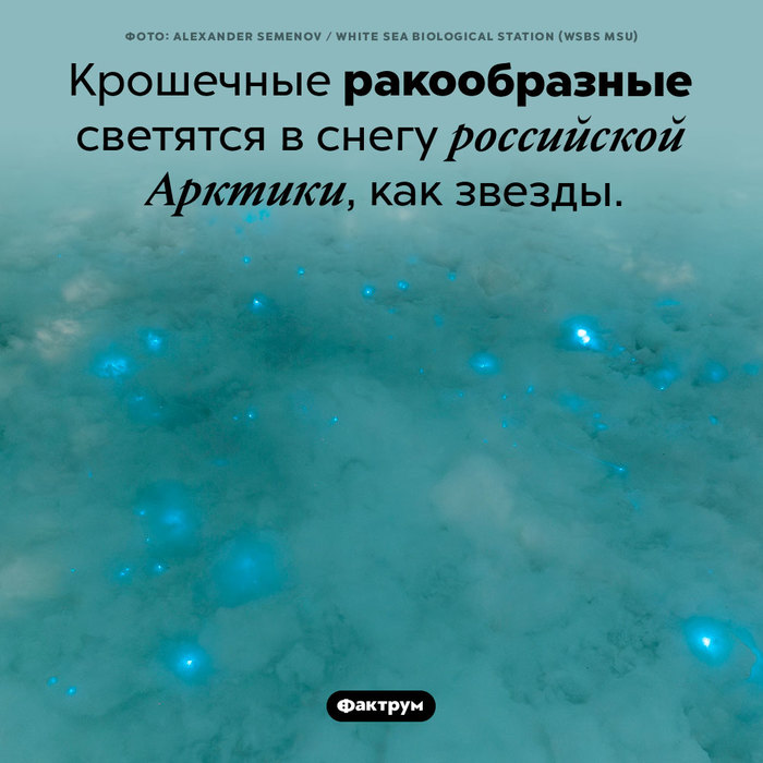 Эскалатор что это такое фото. Смотреть фото Эскалатор что это такое фото. Смотреть картинку Эскалатор что это такое фото. Картинка про Эскалатор что это такое фото. Фото Эскалатор что это такое фото