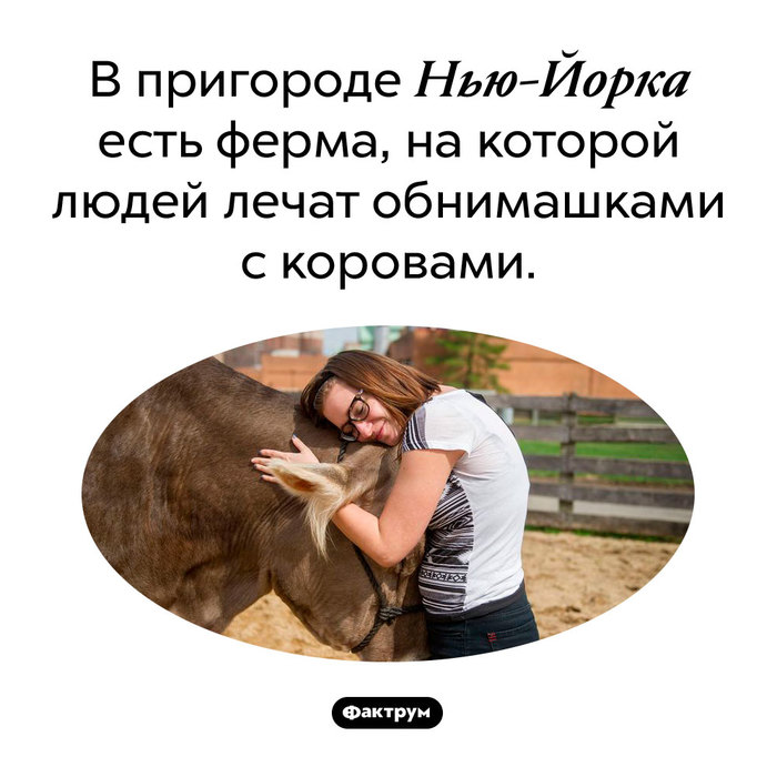 Эскалатор что это такое фото. Смотреть фото Эскалатор что это такое фото. Смотреть картинку Эскалатор что это такое фото. Картинка про Эскалатор что это такое фото. Фото Эскалатор что это такое фото