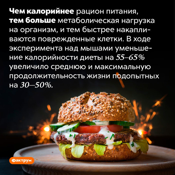 Эскалатор что это такое фото. Смотреть фото Эскалатор что это такое фото. Смотреть картинку Эскалатор что это такое фото. Картинка про Эскалатор что это такое фото. Фото Эскалатор что это такое фото