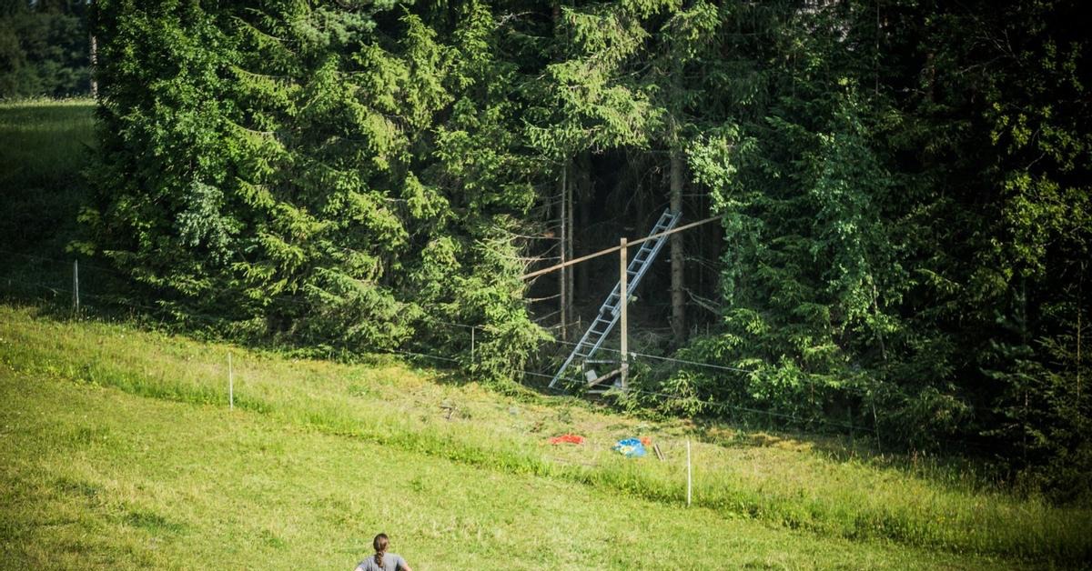 Forest break. Антти Лайтинен. Художник Антти Лайтинен. Дыра в лесу. Портал в лесу.