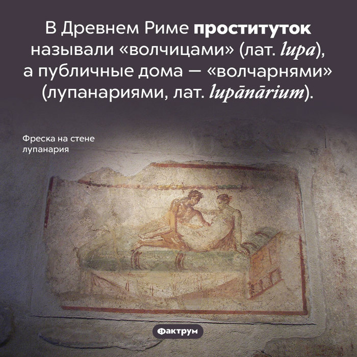 Эскалатор что это такое фото. Смотреть фото Эскалатор что это такое фото. Смотреть картинку Эскалатор что это такое фото. Картинка про Эскалатор что это такое фото. Фото Эскалатор что это такое фото