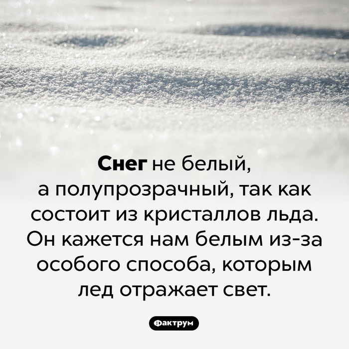 Эскалатор что это такое фото. Смотреть фото Эскалатор что это такое фото. Смотреть картинку Эскалатор что это такое фото. Картинка про Эскалатор что это такое фото. Фото Эскалатор что это такое фото