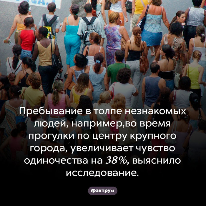 Эскалатор что это такое фото. Смотреть фото Эскалатор что это такое фото. Смотреть картинку Эскалатор что это такое фото. Картинка про Эскалатор что это такое фото. Фото Эскалатор что это такое фото