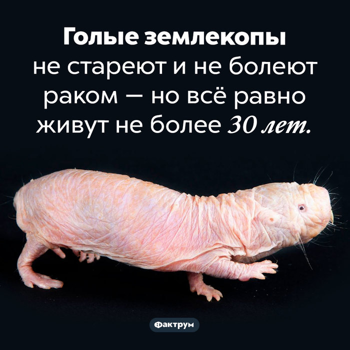 Эскалатор что это такое фото. Смотреть фото Эскалатор что это такое фото. Смотреть картинку Эскалатор что это такое фото. Картинка про Эскалатор что это такое фото. Фото Эскалатор что это такое фото
