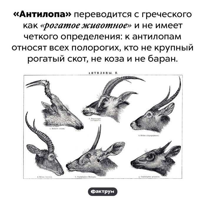 Эскалатор что это такое фото. Смотреть фото Эскалатор что это такое фото. Смотреть картинку Эскалатор что это такое фото. Картинка про Эскалатор что это такое фото. Фото Эскалатор что это такое фото